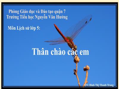 Bài giảng Lịch sử Lớp 5 - Bài 20: Bến Tre đồng khởi - Đinh Thị Thanh Trang