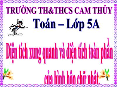 Bài giảng Toán Lớp 5 - Diện tích xung quanh và diện tích toàn phần của hình hộp chữ nhật - Trường Tiểu học Cam Thủy