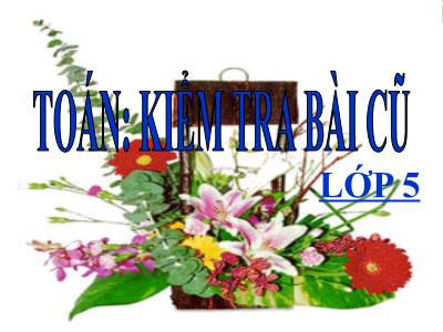 Bài giảng Toán Lớp 5 - Giới thiệu biểu đồ hình quạt - Năm học 2010-2011