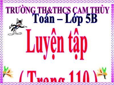 Bài giảng Toán Lớp 5 - Luyện tập (Trang 110) - Trường Tiểu học Cảm Thủy