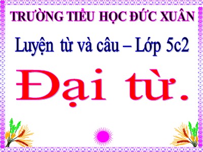 Bài giảng Luyện từ và câu Khối 5 - Đại từ - Trường Tiểu học Đức Xuân