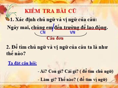 Bài giảng Luyện từ và câu Khối 5 - Tuần 19: Câu ghép - Năm học 2020-2021