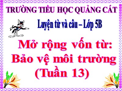 Bài giảng Luyện từ và câu Lớp 5 - Tuần 13: Mở rộng vốn từ: Bảo vệ môi trường - Trường Tiểu học Quảng Cát