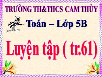 Bài giảng môn Toán Khối 5 - Luyện tập (Trang 61) - Trường Tiểu học Cam Thủy