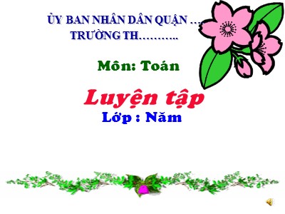 Bài giảng môn Toán Lớp 5 - Luyện tập (Trang 30)