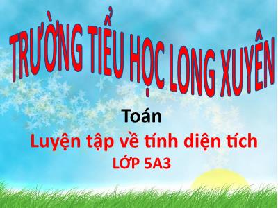 Bài giảng môn Toán Lớp 5 - Luyện tập về tính điện tích - Trường Tiểu học Long Xuyên