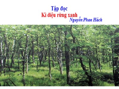 Bài giảng Tập đọc Khối 5 - Kì diệu rừng xanh (Bản chuẩn)