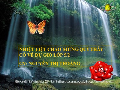 Bài giảng Tập đọc Lớp 5 - Kì diệu rừng xanh - Nguyễn Thị Thoảng