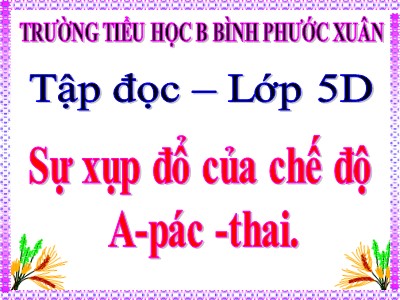 Bài giảng Tập đọc Lớp 5 - Sự xụp đổ của chế độ A-pác-thai - Trường Tiểu học B Bình Phước Xuân