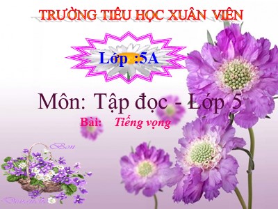 Bài giảng Tập đọc Lớp 5 - Tiếng vọng - Trường Tiểu học Xuân Viên