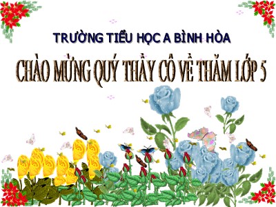 Bài giảng Toán Khối 5 - Bài: Ôn tập Bảng đơn vị đo độ dài - Trường Tiểu học A Bình Hòa