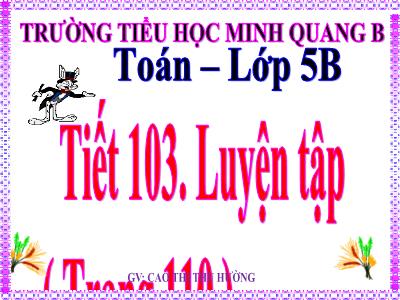 Bài giảng Toán Lớp 5 - Luyện tập (Trang 110) - Cao Thị Thu Hường