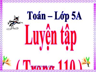 Bài giảng Toán Lớp 5 - Luyện tập (Trang 110) - Phan Thị Anh