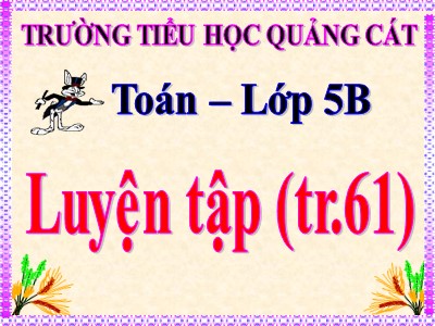 Bài giảng Toán Lớp 5 - Luyện tập (Trang 61) - Trường Tiểu học Quảng Cát