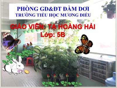 Bài giảng Toán Lớp 5 - Luyện tập (Trang 94) - Tạ Hoàng Hải