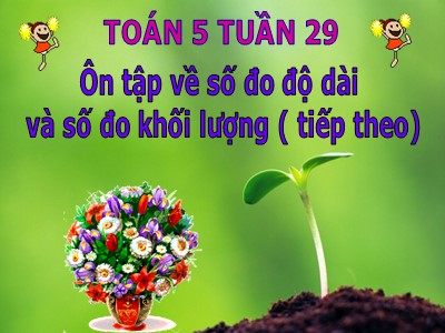 Bài giảng Toán Lớp 5 - Ôn tập về số đo độ dài và số đo khối lượng (Tiếp theo)