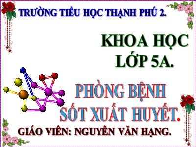 Bài giảng Khoa học Khối 5 - Bài 13: Phòng bệnh sốt xuất huyết - Nguyễn Văn Hạng