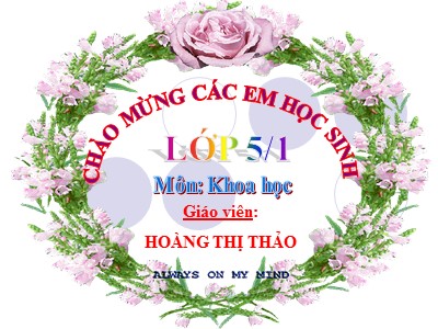 Bài giảng Khoa học Khối 5 - Bài 14: Phòng bệnh viêm não - Hoàng Thị Thảo