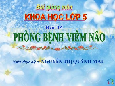 Bài giảng Khoa học Khối 5 - Bài 14: Phòng bệnh viêm não - Nguyễn Thị Quỳnh Mai