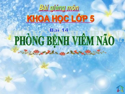 Bài giảng Khoa học Khối 5 - Bài 14: Phòng bệnh viêm não