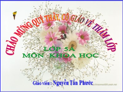 Bài giảng Khoa học Khối 5 - Bài 15: Phòng bệnh viêm gan A - Nguyễn Tấn Phước