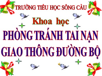 Bài giảng Khoa học Khối 5 - Bài 19: Phòng tránh tai nạn giao thông đường bộ - Trường Tiểu học Sông Cầu