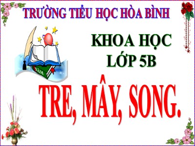 Bài giảng Khoa học Khối 5 - Bài 22: Tre, mây, song - Trường Tiểu học Hòa Bình