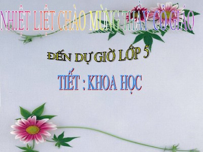 Bài giảng Khoa học Khối 5 - Bài 22: Tre, mây, song