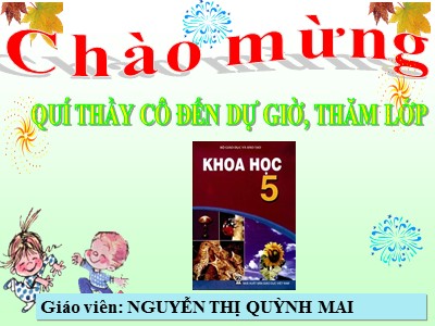 Bài giảng Khoa học Khối 5 - Bài 24: Đồng và hợp kim của đồng - Nguyễn Thị Quỳnh Mai