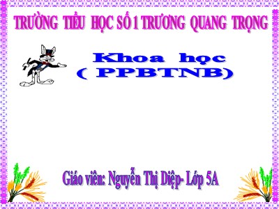 Bài giảng Khoa học Khối 5 - Bài 30: Cao su - Nguyễn Thị Diệp