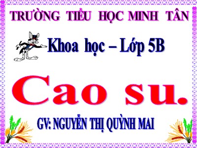 Bài giảng Khoa học Khối 5 - Bài 30: Cao su - Nguyễn Thị Quỳnh Mai