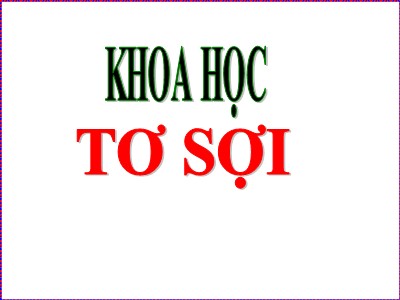 Bài giảng Khoa học Khối 5 - Bài 32: Tơ sợi (Bản đẹp)