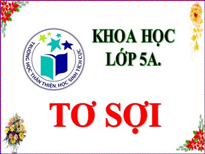 Bài giảng Khoa học Khối 5 - Bài 32: Tơ sợi - Năm học 2020-2021