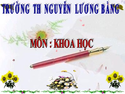 Bài giảng Khoa học Khối 5 - Bài 48: An toàn và tránh lãng phí khi sử dụng điện - Trường Tiểu học Nguyễn Lương Bằng
