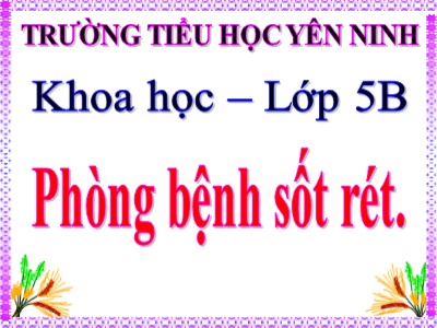 Bài giảng Khoa học Lớp 5 - Bài 12: Phòng bệnh sốt rét - Trường Tiểu học Yên Ninh