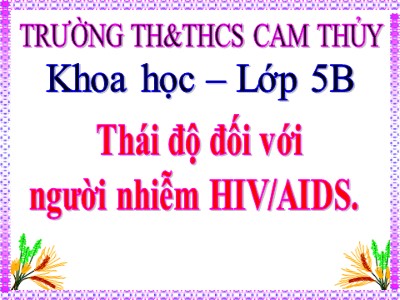 Bài giảng Khoa học Lớp 5 - Bài 17: Thái độ đối với người nhiễm HIV/AIDS - Trường Tiểu học Cam Thủy