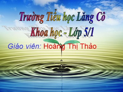 Bài giảng Khoa học Lớp 5 - Bài 17: Thái độ đối với người nhiễm HIV/AIDS - Hoàng Thị Thảo