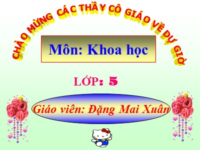 Bài giảng Khoa học Lớp 5 - Bài 19: Phòng tránh tai nạn giao thông đường bộ - Đặng Mai Xuân