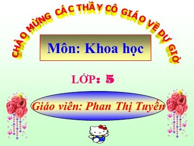 Bài giảng Khoa học Lớp 5 - Bài 19: Phòng tránh tai nạn giao thông đường bộ - Phan Thị Tuyến
