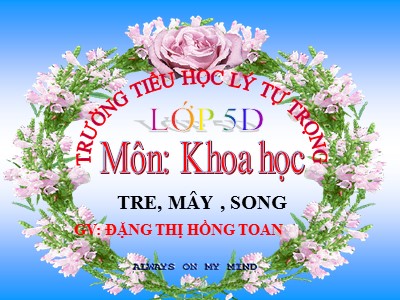 Bài giảng Khoa học Lớp 5 - Bài 22: Tre, mây, song - Đặng Thị Hồng Toan