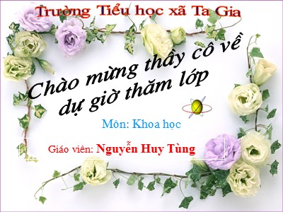 Bài giảng Khoa học Lớp 5 - Bài 22: Tre, mây, song - Nguyễn Huy Tùng