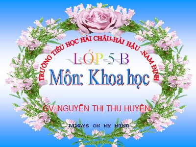 Bài giảng Khoa học Lớp 5 - Bài 22: Tre, mây, song - Nguyễn Thị Thu Huyền