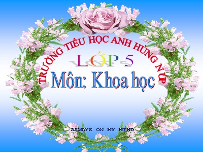 Bài giảng Khoa học Lớp 5 - Bài 22: Tre, mây, song - Trường Tiểu học Anh hùng Núp