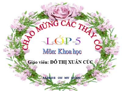 Bài giảng Khoa học Lớp 5 - Bài 23: Sắt, gang, thép - Đỗ Thị Xuân Cúc