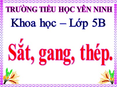 Bài giảng Khoa học Lớp 5 - Bài 23: Sắt, gang, thép - Trường Tiểu học Yên Ninh (Bản hay)