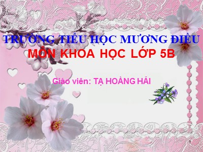 Bài giảng Khoa học Lớp 5 - Bài 28: Xi măng - Tạ Hoàng Hải