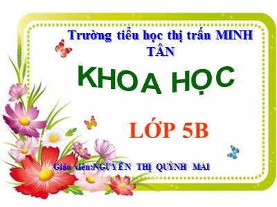 Bài giảng Khoa học Lớp 5 - Bài 29: Thủy tinh - Nguyễn Thị Quỳnh Mai