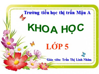 Bài giảng Khoa học Lớp 5 - Bài 29: Thủy tinh - Trần Thị Linh Nhâm