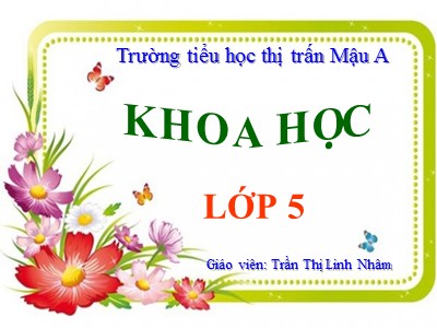 Bài giảng Khoa học Lớp 5 - Bài 30: Cao su - Trần Thị Linh Nhâm
