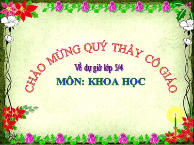 Bài giảng Khoa học Lớp 5 - Bài 31: Chất dẻo - Năm học 2011-2012 (Bản hay)